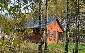 DOMEK LETNISKOWY POD BRZOZAMI na Roztoczu wśród lasów